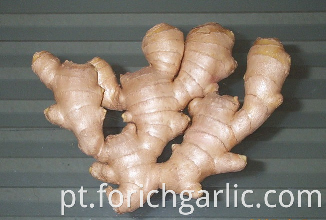 Air Dried Ginger